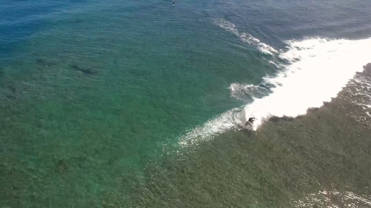 Surf
