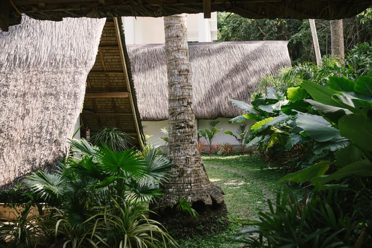 Nippa Hut