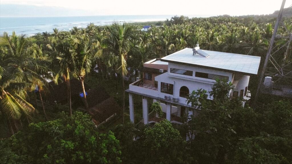 Aerial view of Balerfornia's Palm Villa among coconut palms in Cemento, Baler, with the coastline beyond